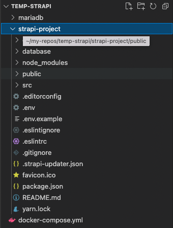 Strapi Docker Compose folder structure